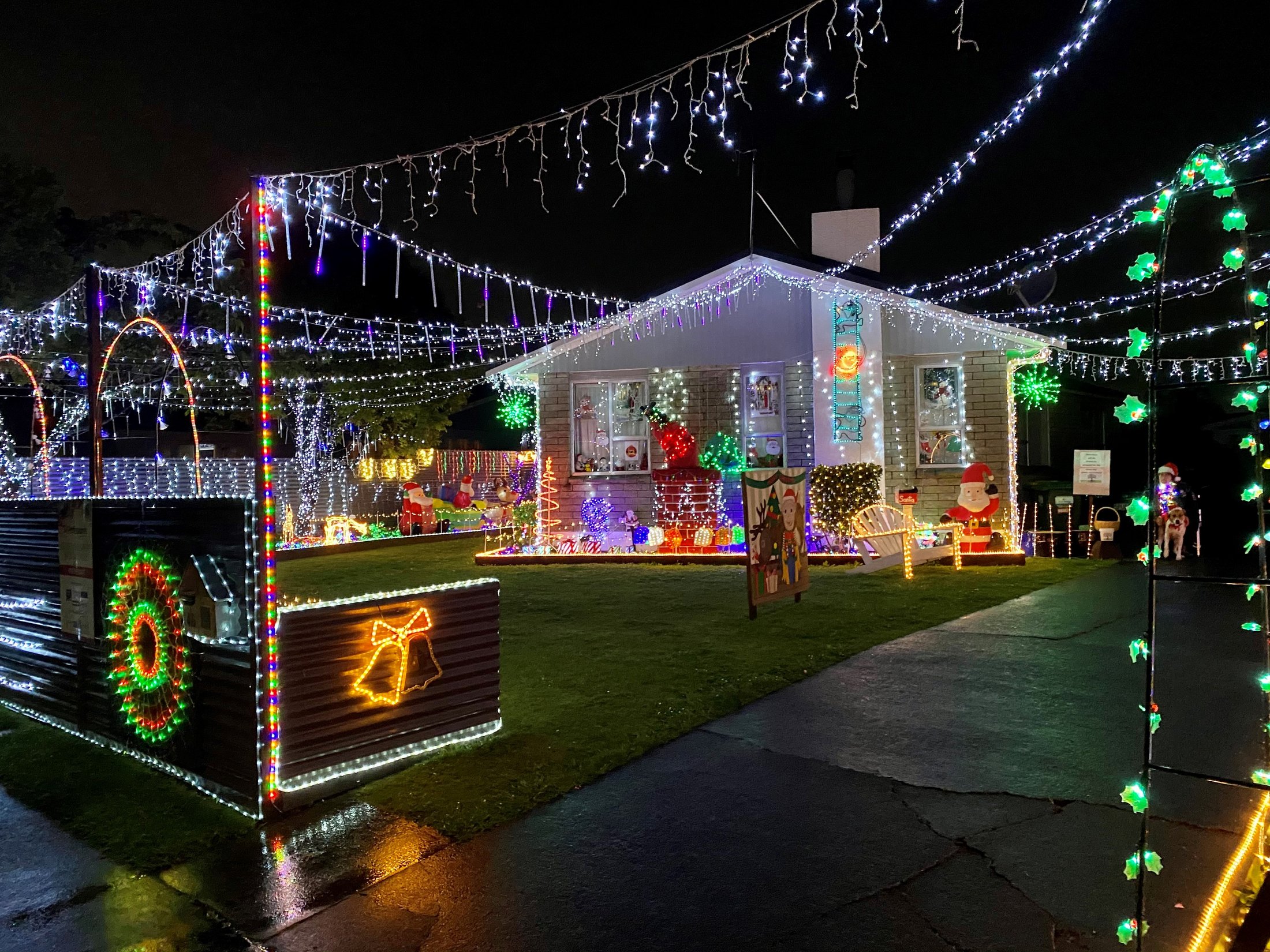 Professionals Christmas Lights 2023