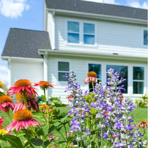 Spring garden