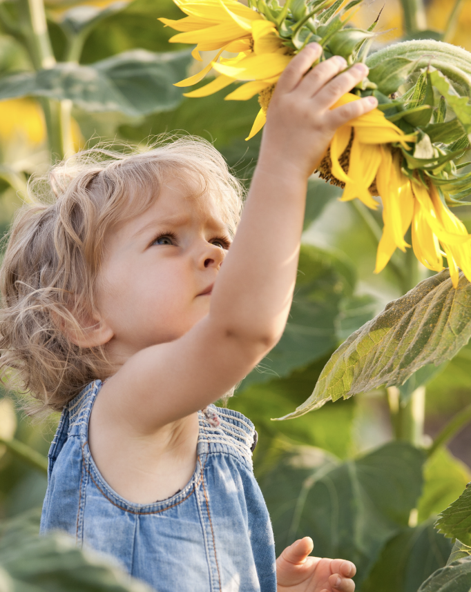 Swing into Spring 2026_Sunflower