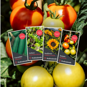 Seeds Packets 2026 Seeds Packets 2026