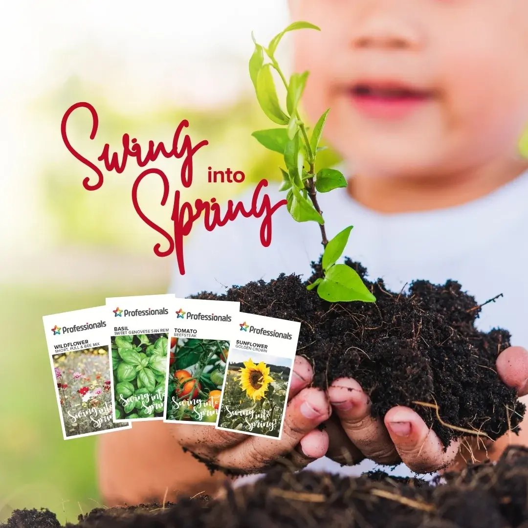 Swing into Spring 2025