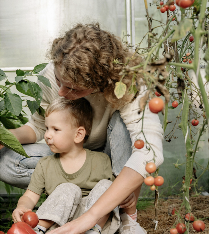 Swing into Spring_Tomatoes