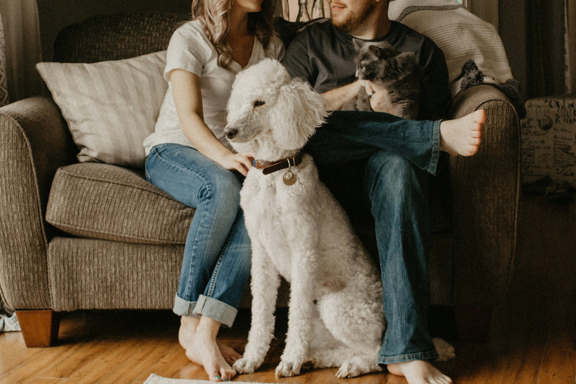 Couple sitting on couch with dog